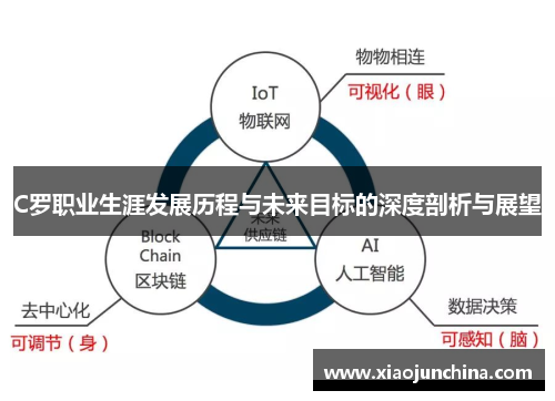 C罗职业生涯发展历程与未来目标的深度剖析与展望